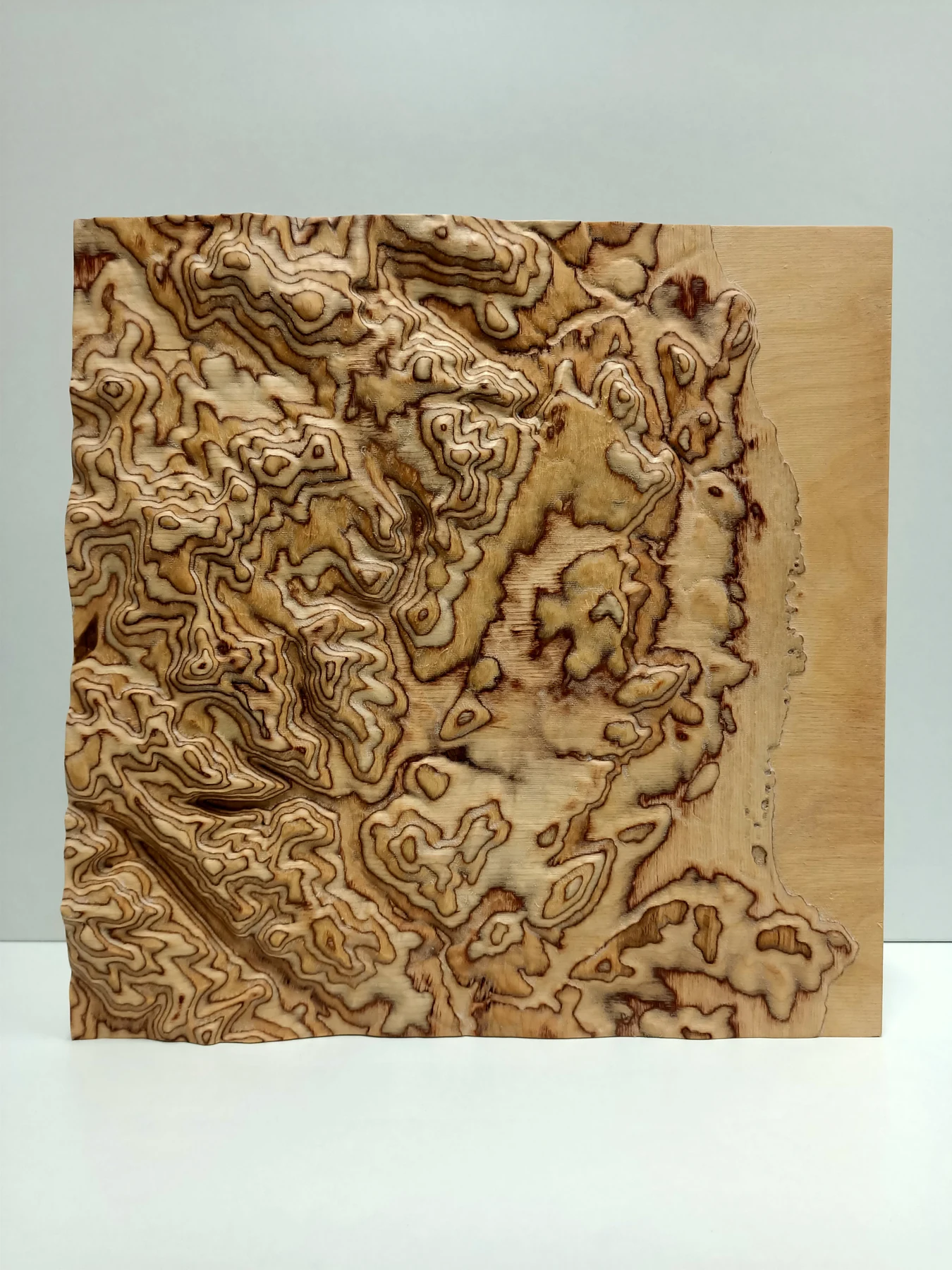Front view of a terrain model cut into birch plywood