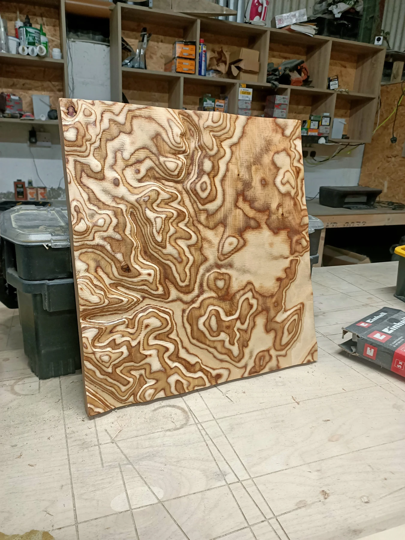 The first lockdown terrain model in plywood