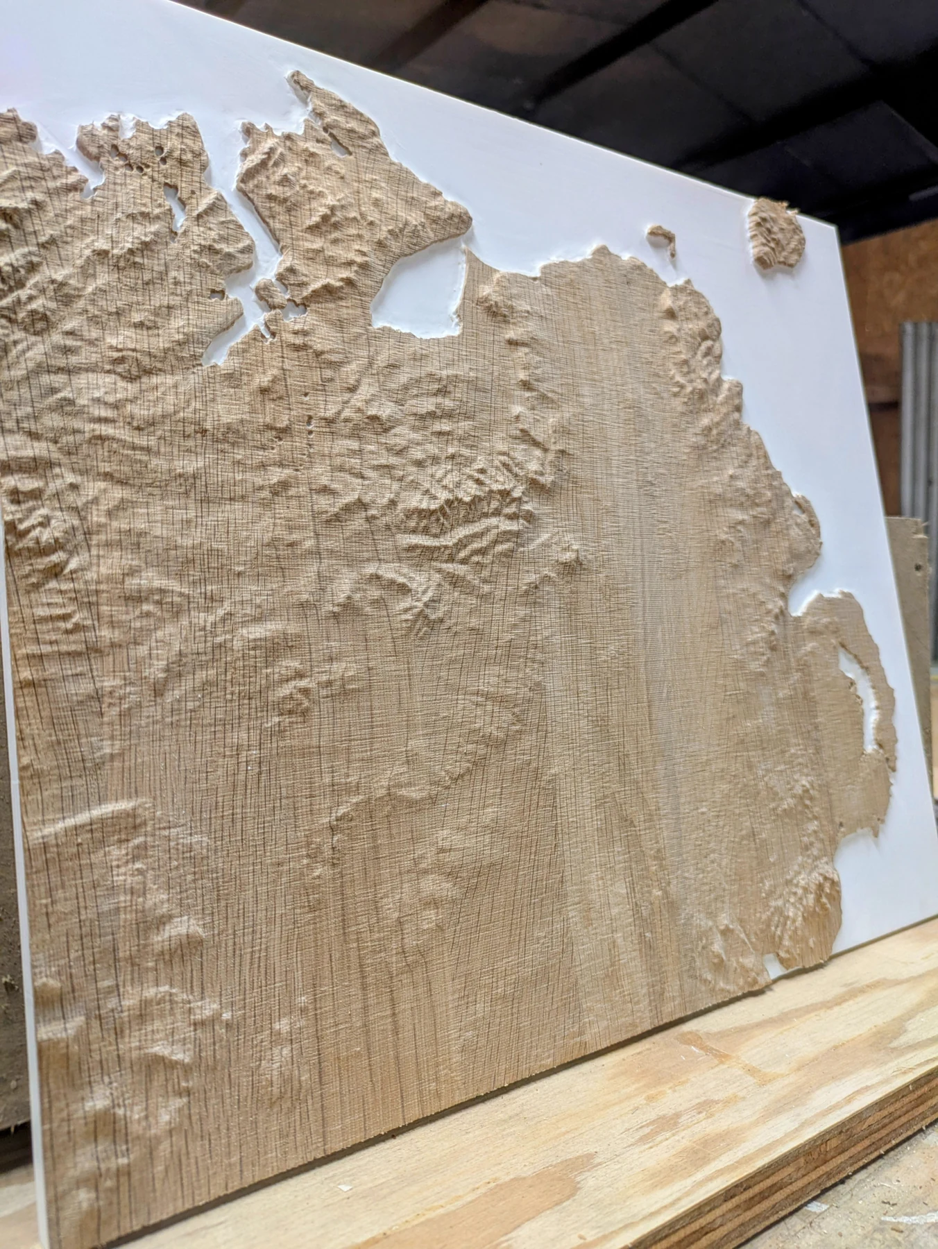 A successful oak tile with detailed coastal relief