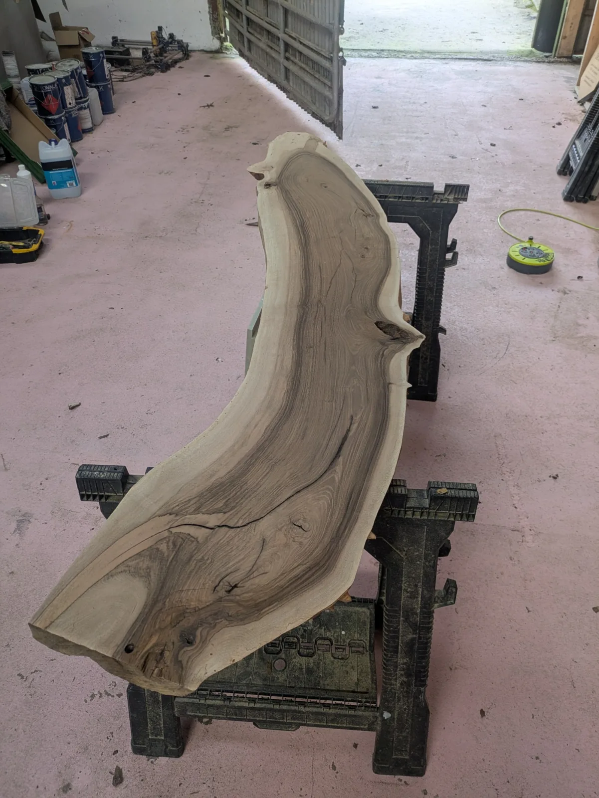 The walnut slab supported upright while its orientation is considered